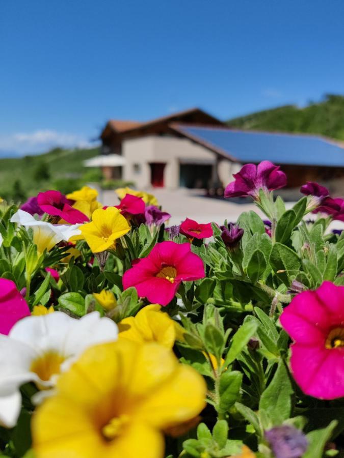 הוילה ספורמאג'יורה Bio Agritur Al Bait מראה חיצוני תמונה